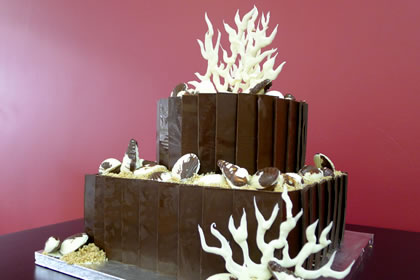 Seashell Wedding Cake